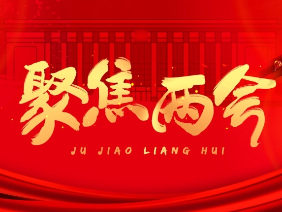代表委員(yuán)暢談數(shù)據要(yào)素：全國(guó)一(yī)體(tǐ)化(huà)數(shù)據市(shì)場(chǎng)構建加速