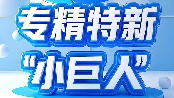 專精特新小(xiǎo)巨人(rén)企業(yè)申報(bào)